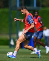 arnautovic