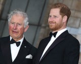 Prinz Harry, König Charles 