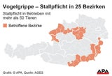 Vogelgrippe Grafik