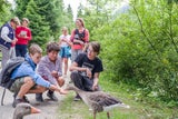Naturerlebnisse stehen bei Familien im Urlaub hoch im Kurs.