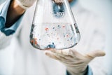 Neue Studie: Fertiggerichte erhöhen Mikroplastik im Körper