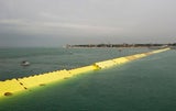 mose venedig