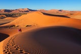 Honeymoon-Ziele: Schönste Plätze für die Flitterwochen