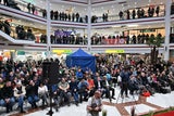 fellner live