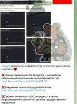 Hier stehen als DDoS-Angriffsziele die Salzburger Nachrichten und die Bierpartei
