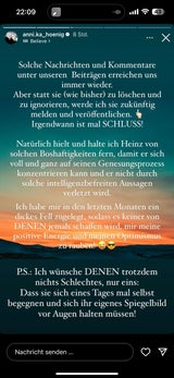 Annika Hoenig zeigt, wie gehässig manche Nachrichten sind&nbsp;