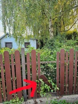 Schrebergarten