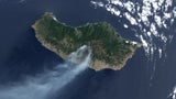Madeira Brand