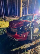 Baum stürzte auf Auto – Person eingeschlossen