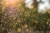 Pollensaison 2025 startet: So schützen Sie sich vor den ersten Pollen