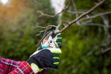 Start in die Gartensaison 2025: Das ist jetzt zu tun