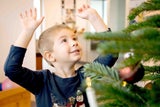 Über 1 Million Christbäume aus Niederösterreich sorgen morgen für strahlende Kinderaugen.