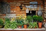 Die Kunst des kreativen Gartelns: Liebevoll ausgesuchte Stücke vom Flohmarkt ergeben eine Deko, die an einen englischen Cottage-Garten erinnert. Dass Karl Ploberger neue Pflanzen sammelt, zeigen auch die zahlreichen Töpfe, die überall platziert sind. Stolz ist der Biogärtner auf die „Erdbeerpyramide“ – eine intelligente Lösung für reiche Ernte auf wenig Raum.