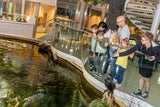 Countdown zur Langen Nacht der Museen in NÖ
