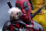 "Deadpool & Wolverine" punktet mit vulgärem Humor und kurzweiliger Action