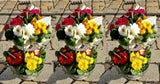 Primeln zum Valentinstag