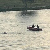 Suchaktion Donau
