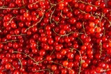 Lassen Kilos purzeln: Obstsorten, die beim Abnehmen helfen