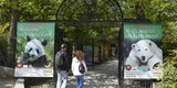Tiergarten Zoo Schönbrunn Eingang
