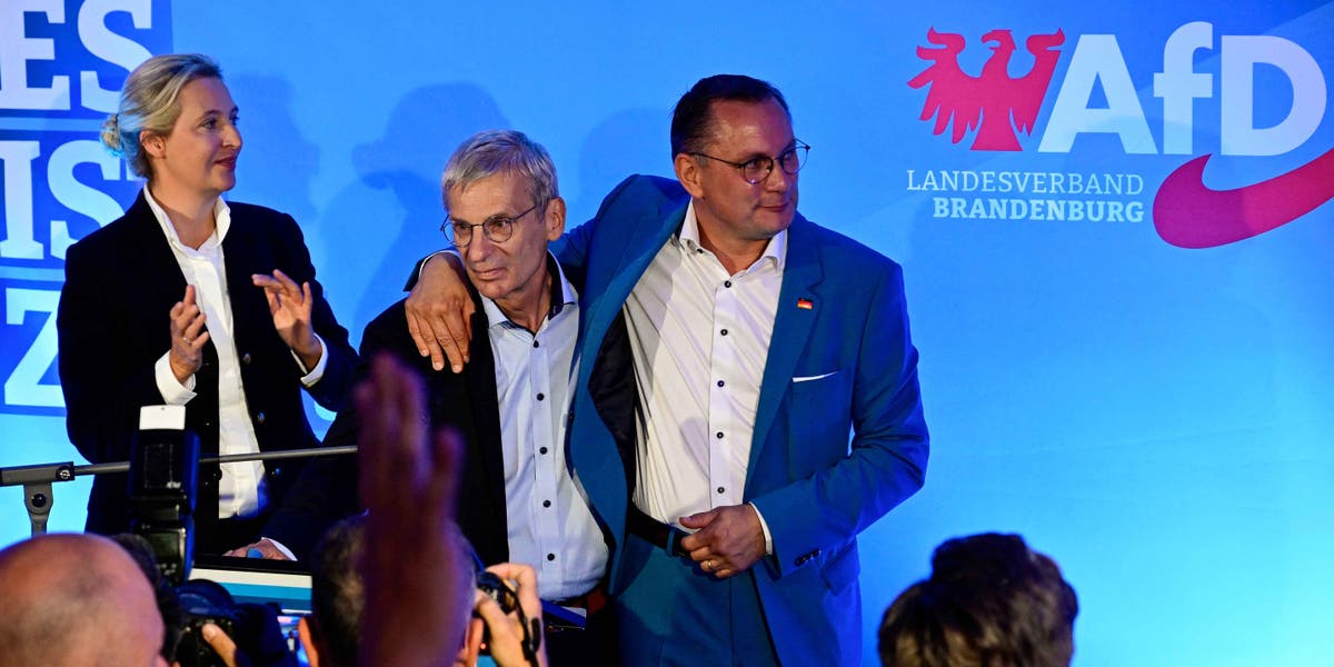 AfD spielt Skandal-Song auf Wahlparty