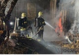 Tierdrama in NÖ: 62 Schafe in Flammen verendet