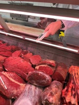 Gruppe Sofortmaßnahmen Käse Fleisch Wien Donaustadt