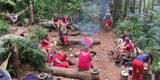 Dschungelcamp