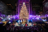 Der größte Weihnachtsbaum der Welt steht in unserem Nachbarland