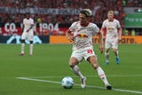 Kampl (34) könnte sich vorstellen nach seiner Karriere in den Dschungel zu reisen.