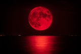 Vollmond und Mondfinsternis am 14. März: 3 Sternzeichen erleben jetzt Chaos!