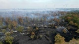 Waldbrand in Gänserndorf