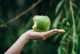 Tag des Apfels: 5 Dinge, die Sie über das beliebte Obst noch nicht wussten