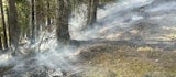 Waldbrand NÖ