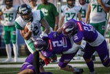 Vienna Vikings Danube Dragons