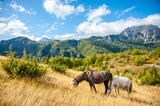 Warum Sie diesen Sommer einen Urlaub in Albanien buchen sollten