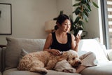 Hunde im Dating-Profil: Diese Rassen versprechen die meisten Matches