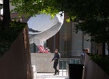 taubenewyork