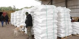 Größter Kokainfund in der Geschichte Paraguays