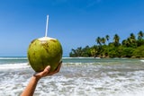 Boipeba. Wie Robinson Crusoe fühlt man sich auf der Brasilien-Insel. 