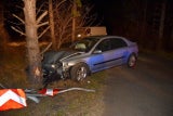 Reh ausgewichen - Crash gegen Baum