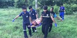 Fummel-Vorfall: Kuh attackiert nackten Touristen (26)