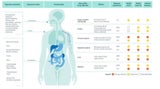 Gesundheitsgefahr durch Schimmel-Gifte
