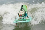 Hier surfen Hunde um Gold