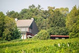 Richard Lugners Villa in Grinzing