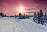 Ein Traum: Die 10 schönsten Langlauf-Strecken in Europa