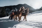 Sonnenskilauf im Zillertal: Die schönsten Regionen entdecken