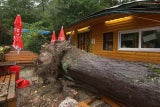 Parks öffnen wieder nach Kontrollen