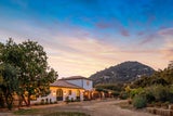In den Santa Monica Mountains fand Zellweger dieses 10 Hektar große Anwesen.