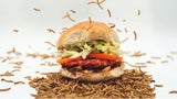 Wormwich