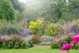 Garten-Trends 2025: So verwandeln Sie Ihren Garten in eine grüne Oase